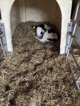 Exkursion Betrieb Stift Admont