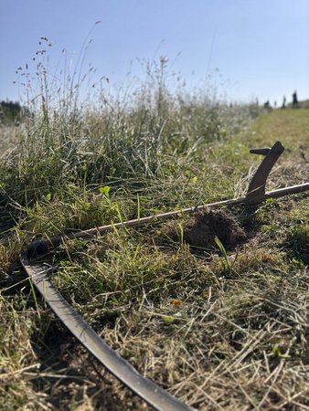 LE Sensenmaehen 2025